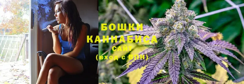 Бошки Шишки White Widow  где продают   Барыш 